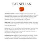 Natural Carnelian Crystal Point Necklace – Bild 3