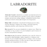 ⁦Labradorite Point Earrings⁩ - الصورة ⁦2⁩